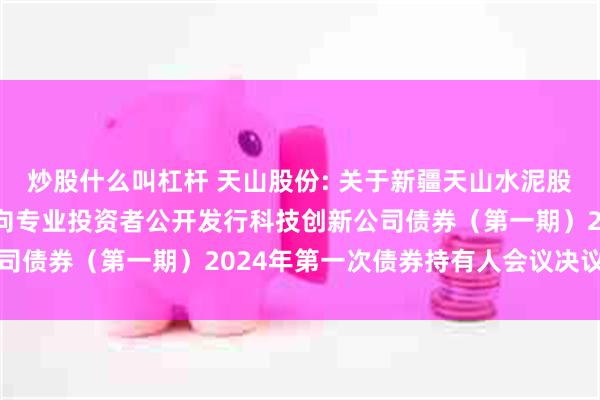 炒股什么叫杠杆 天山股份: 关于新疆天山水泥股份有限公司2024年面向专业投资者公开发行科技创新公司债券（第一期）2024年第一次债券持有人会议决议的公告