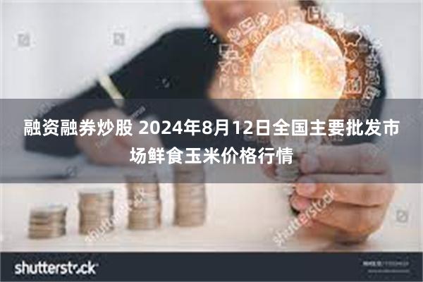 融资融券炒股 2024年8月12日全国主要批发市场鲜食玉米价格行情