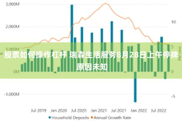 股票如何操作杠杆 瑞森生活服务8月28日上午停牌 原因未知