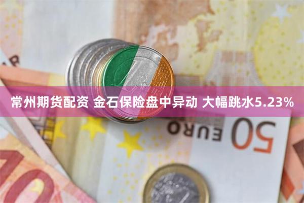 常州期货配资 金石保险盘中异动 大幅跳水5.23%