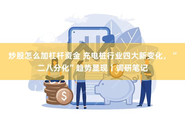 炒股怎么加杠杆资金 充电桩行业四大新变化，“二八分化”趋势显现丨调研笔记