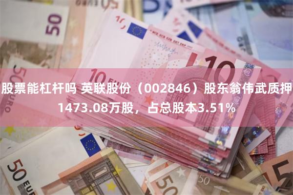 股票能杠杆吗 英联股份（002846）股东翁伟武质押1473.08万股，占总股本3.51%